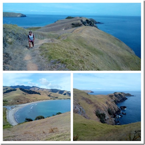 IMG_20200229_105552-COLLAGE