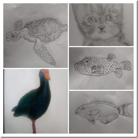 IMG_20200507_181305-COLLAGE