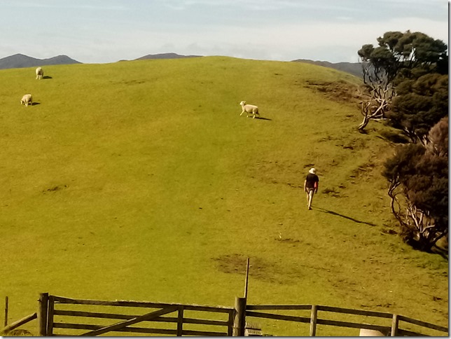 IMG_20210306_102304 (1)