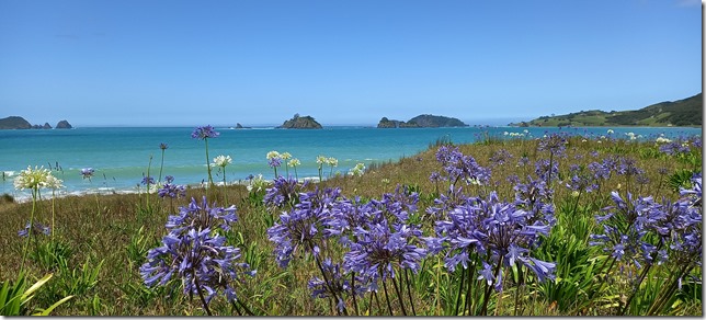 2022 – Nos meilleurs moments (suite)