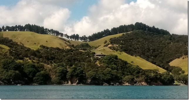 IMG_20210402_115334_2