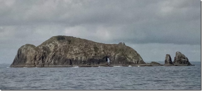 IMG_20210408_110028~3