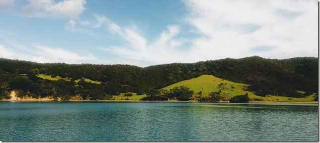 IMG_20210418_113208~2