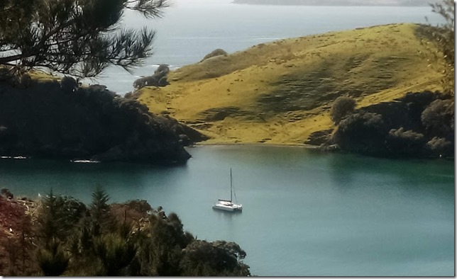 IMG_20210430_102409_2