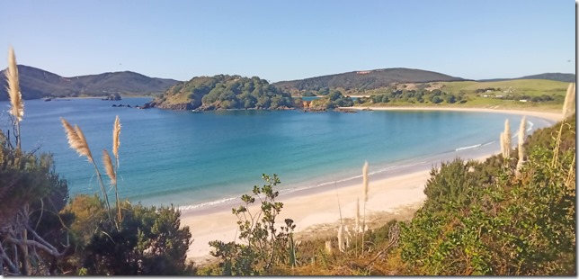 IMG_20210502_101329_4