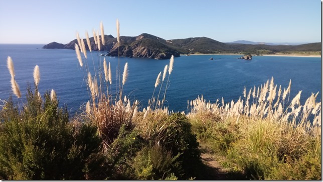 IMG_20210502_103706_7_thumb1