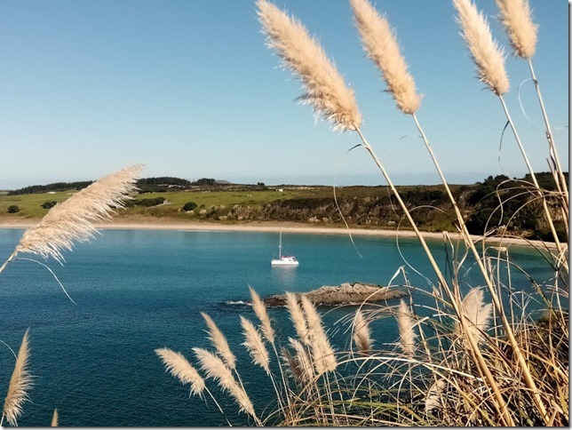 IMG_20210502_104548_thumb1