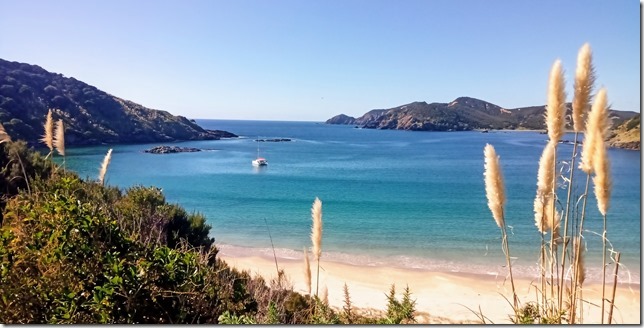 IMG_20210502_114228_5_thumb1