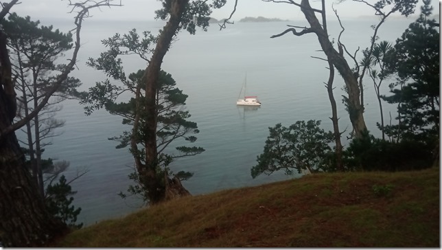 IMG_20210611_091437_7