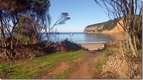 IMG_20210620_100109_4