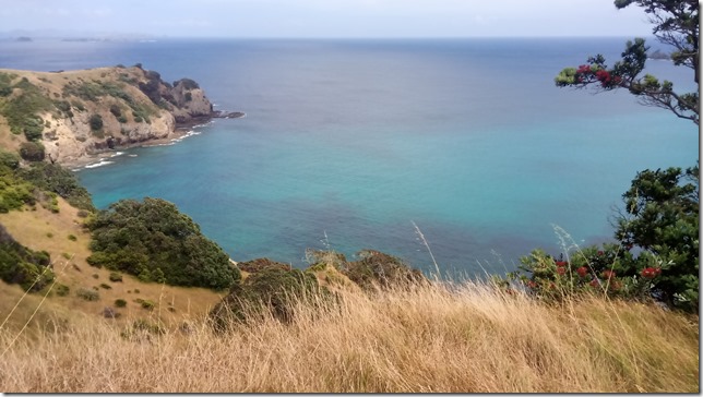 IMG_20220103_115823_6