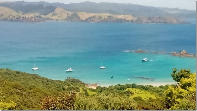 IMG_20220103_125849_9_thumb