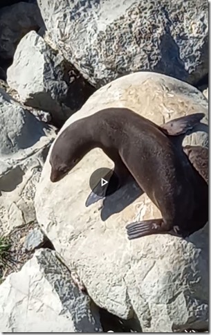 Screenshot_20230725-152734_Photos (1)