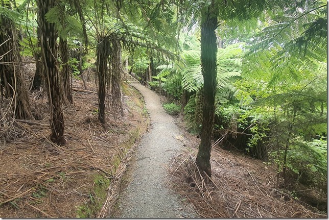 Uphill climb at the beginning of the Bridle Track on Great Barrier Island by Sandra from Freewalks.nz New Zealand - 1