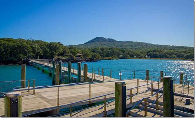 ponton ferry Rangitoto