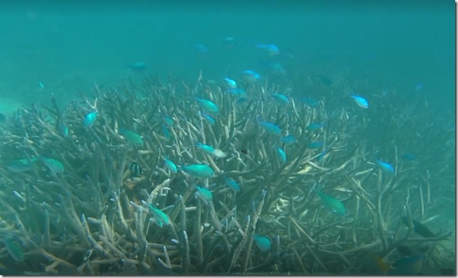 IMG_1030 Copie Copie