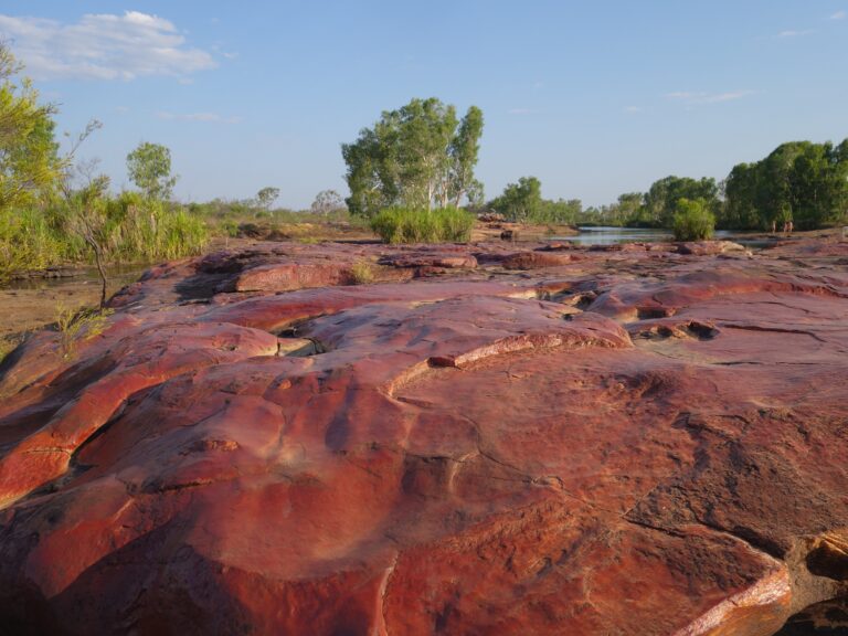 Munurru – King Leopold