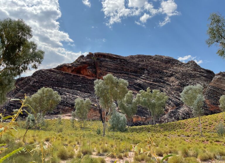 Purnululu National Park – Bungle Bungles (1ère partie)